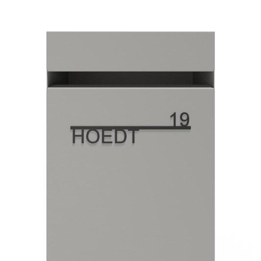 Model 1